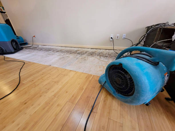 Professional Burst Pipe Water Damage technician working in Acton, ME